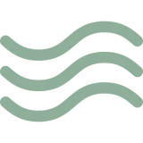 Start with Dry or Slightly Damp Hair